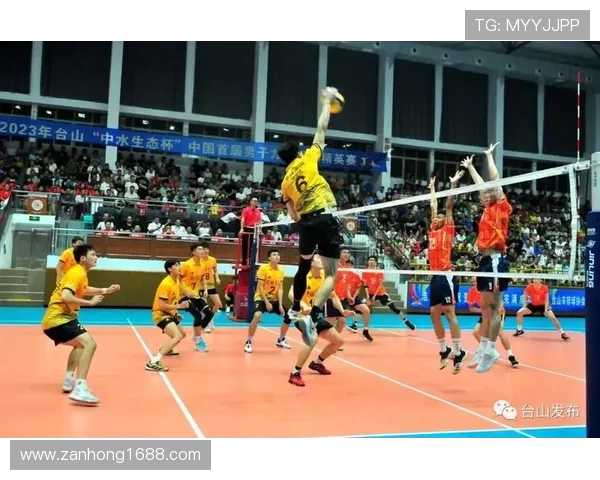 南京排球队防守体系解析：战术布局与实战应用探讨