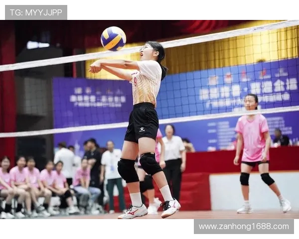 广州排球队创新高排球配合排名再攀新高峰展现团队实力与默契