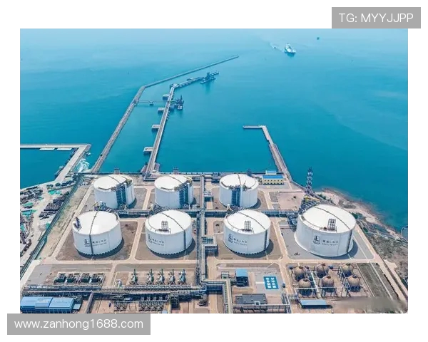 数据分析揭示LNG在全球能源转型中的关键作用与未来发展潜力