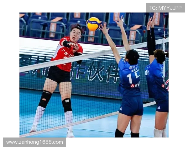 深圳排球队个人能力提升引发热议新变革的背后故事